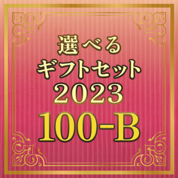 選べるギフトセット2023 100-B