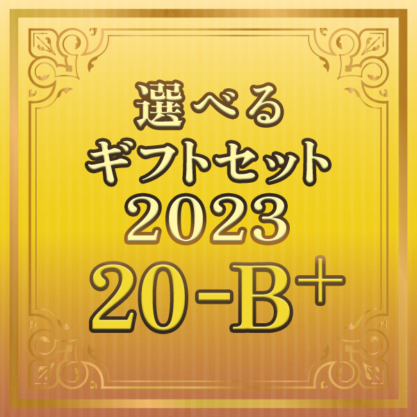 選べるギフトセット2023_20-B＋