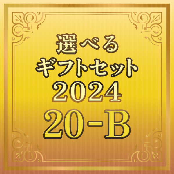 選べるギフトセット2024 20-B