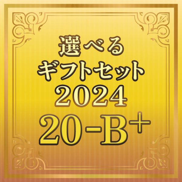 選べるギフトセット2024 20-B+