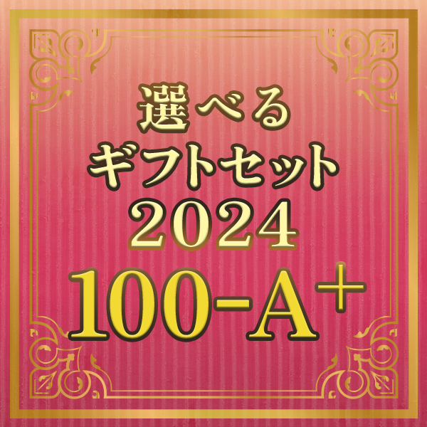 選べるギフトセット2024 100-A+