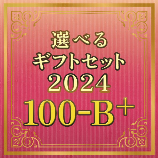 選べるギフトセット2024 100-B+