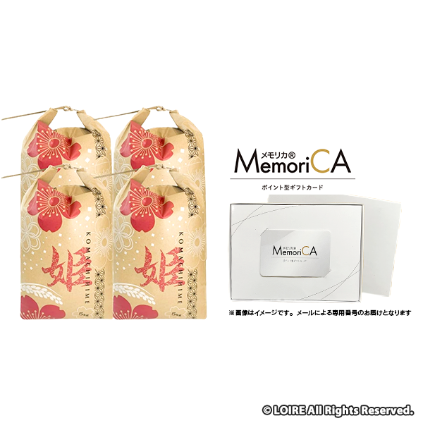 メモリカポイント6000PT＋【こまち姫】米 20kg 令和6年産 東北産 こまち姫