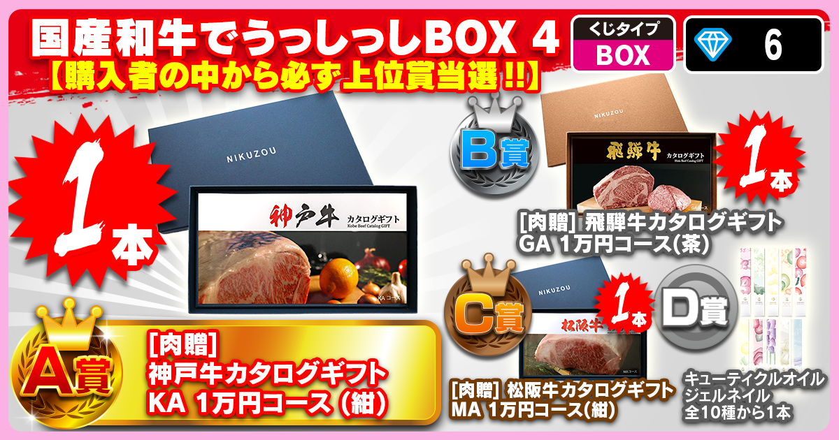 国産和牛でうっしっしBOX 4